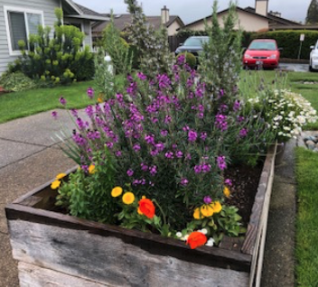 Garden area out front