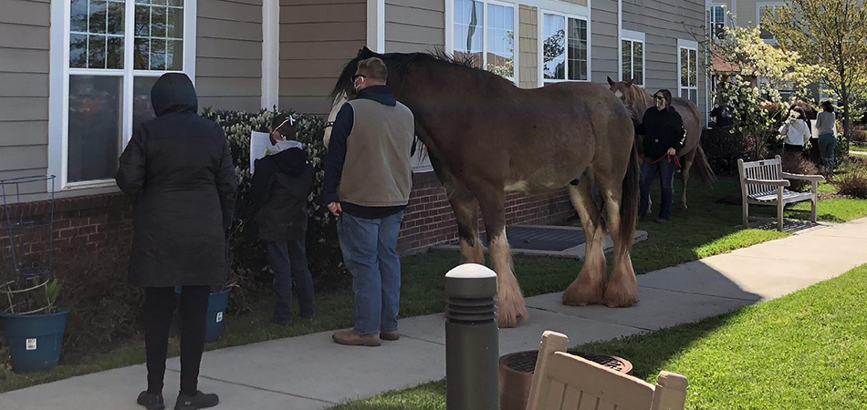 Horses Visiting Residents