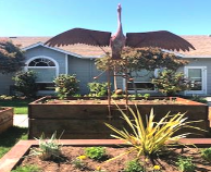 A house with a garden.